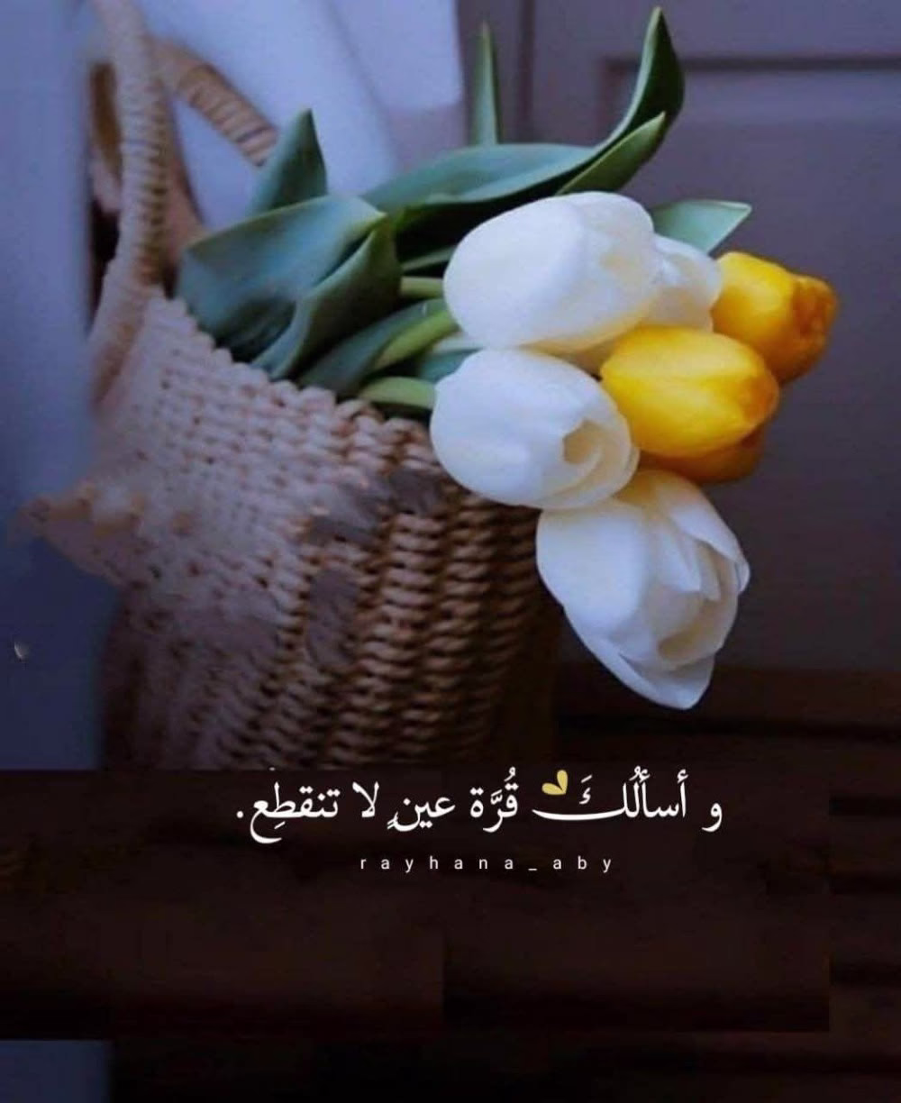 اللهمَّ أنت أعلم بما تتمناه القلوب
وأنت على كل شئ قدير
فاللهمَّ ما تلهفت له قلوبنا رزقًا وعوضًا 
وجبرًا من لدنك
‏اللهمَّ خاطرًا طيبًا ونَفسًا هنية وصدرًا راضيًا 
مرضيًا وقلبًا شاكرًا ولسانًا ذاكرًا 
لا يغيب عنه ذكرك.
اللهمَّ اجعلنا مقبولين بكرمك مكفولين بذكرك 
وَإحسانك، مشمولين بعفوك ومغفرتك 
وَأتمم علينا عافيتك، وَأسعدنا برضاك.
‏اللهمَّ اجعلنا ممن عفوت عنهم، ورضيت عنهم 
وغفرت لهم وكتبت لهم الجنة ..