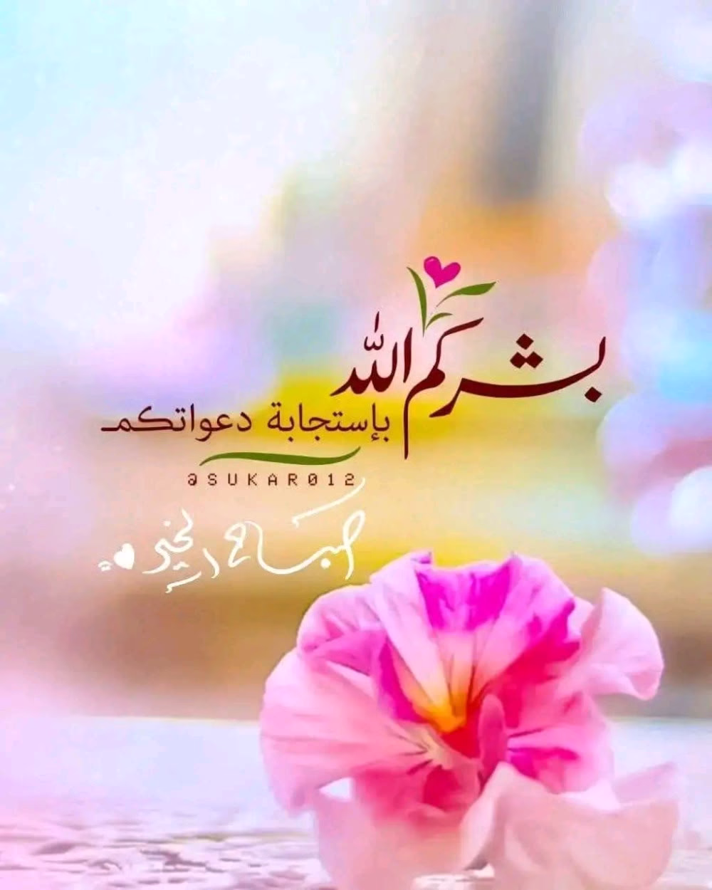 يارب أنت أعلم بما في نفسي وقلبي 
اللهم إجبر قلبي وأرح عقلي 
اللهم يسر أمري واذهب همي 
واقضِ حوائج في قلبي لا يعلمها إلا انت❤️ 
اللهم أبعد عني وعن بيتي كل ما يحزن خواطرناً 
و تستثقله أنفسناً ♥
اللهم انت تعلم أن لنا دعوات فأجبها..
ولنا حاجات فاقضها ..
ولنا أمنيات فحققها ..
ولنا ذنوب فاغفرها..
ولنا أحزان فأزلها.. 
اللهم أجعل لنا دعوة مستجابة ت
غير بها أرواحنا 💙
اللهم آمين يارب العالمين❤