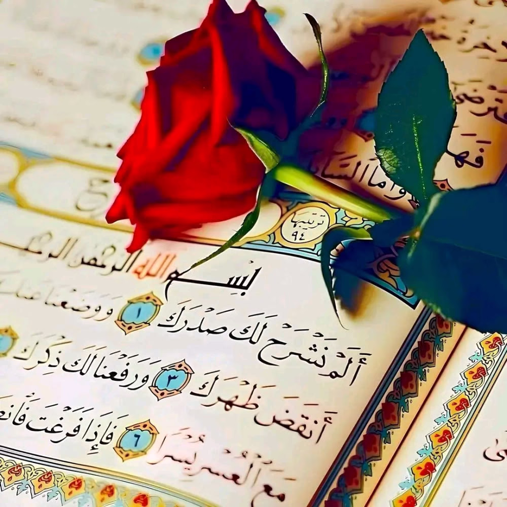 { ألْمْ نَشْرَحْ لَكَ صَدْرَكَ }
- اللَّهُمَّ بِعُمْقِ هَذِهِ الْأَيَّهِ اشْرَحْ صُدُورَنَا وَ أرْحَ قُلُوبَنَا وَ أزْلِ هُمُومَنَا إِنَّكَ عَلَى كُلِّ شَيْءٍ قَدِيرٌ.

『ツ』☆(⁠๑⁠˙⁠❥⁠˙⁠๑⁠)