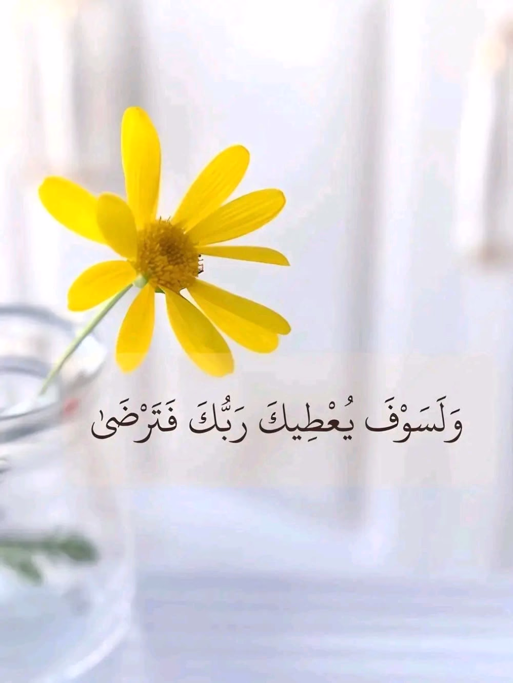 "اللهُ يَعُوِّضُ، وَعَوْضُ اللهِ أَجْمَلُ مِنْ كُلِّ التَّوَقُّعَاتِ."🤍