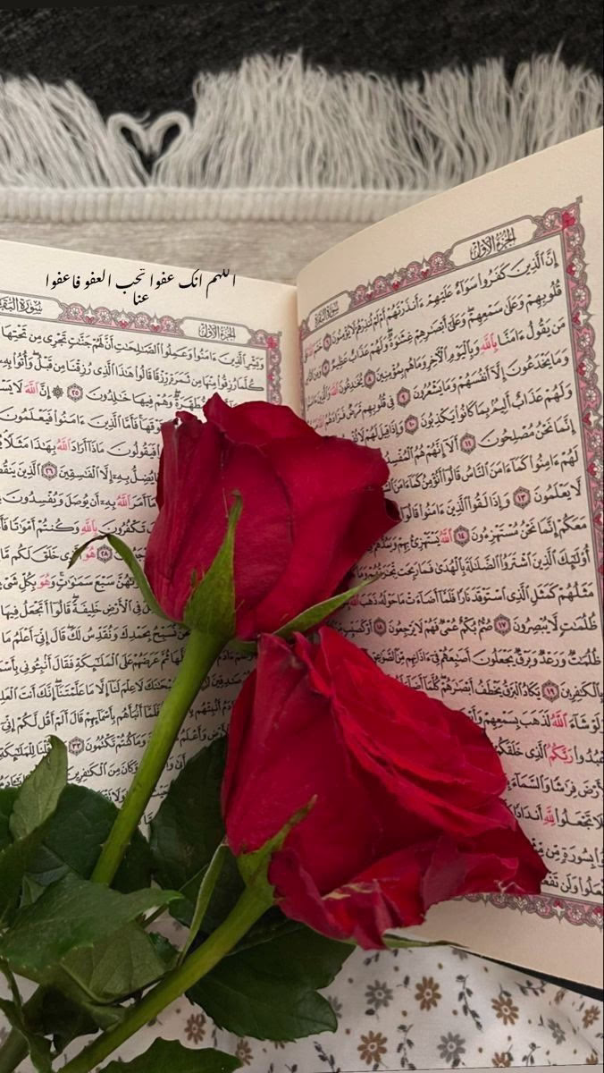 إن شاء الله رمضان الجاي نكون وسط أحلامنا وهي حقيقة
