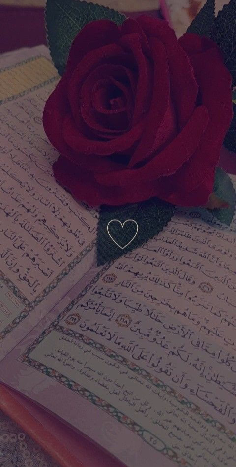 "﷽﴿إِنَّ اللَّهَ وَمَلَائِكَتَهُ يُصَلُّونَ عَلَى النَّبِيِّ 
يَا أَيُّهَا الَّذِينَ آَمَنُوا صَلُّوا عَلَيْهِ وَسَلِّمُوا تَسْلِيمًا﴾"