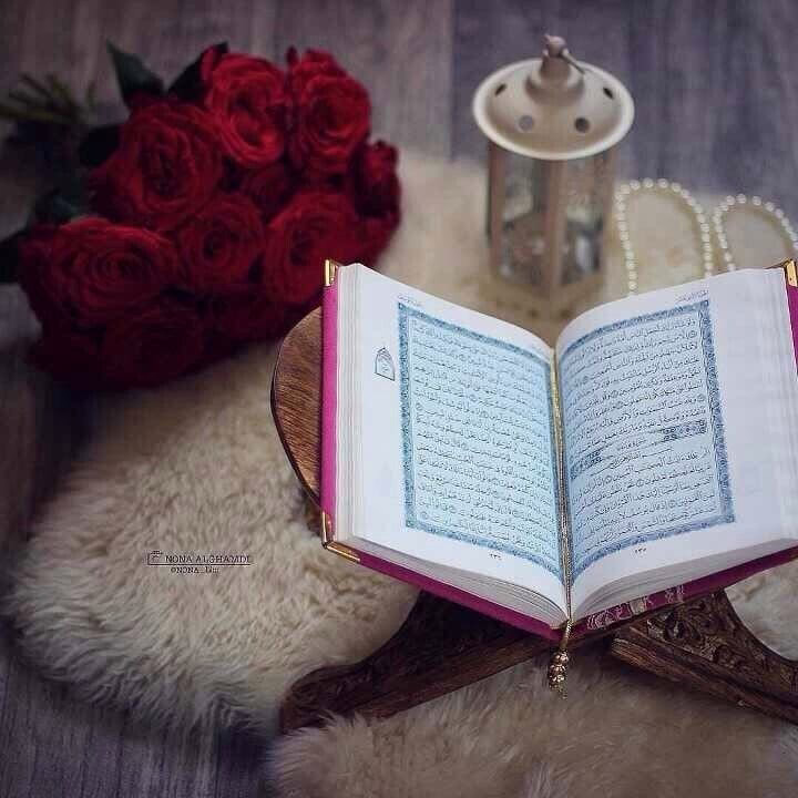 ﴿إِنَّا نُبَشِّرُكَ﴾🩷

"جبر الله آت إليك"

ابشر