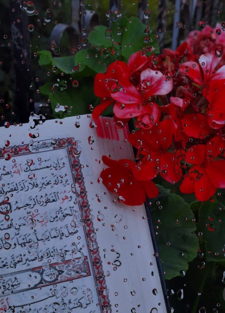 فيه جملة عجبتني أوي بتقول......

 "اللي قلبه حلو ما يتخافش عليه، الناس في الأرض تحفرله وربك من فوق ينجّيه"♥️

وحقيقي وعن تجربة والله؛ طول مانت قلبك نضيف مش شايل كُره لحد ولا بيحسد حد على نعمة أو بيحقد عليه وطول ما نيتك سليمة وقلبك أبيض ما يعرفش طريق القسوة رغم اللي بيشوفه؛ هتلاقي ربنا موقفّلك ولاد الحلال وبينقذك في الوقت المناسب ويسخّرلك عباده الصالحين من حيث لا تحتسب.♥️♥️♥️......

اللهم إنا نسألك سلامة القلب والنية.♥️