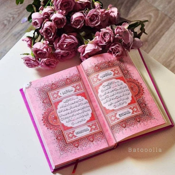 _"وخَيْرُ الرِّجَال من أهداکِ في الحَـلَالِ حُبَّـا
 لَا مـَن أهداکِ في الحَـرام وَردًا و دُبّــــا "🫀💍<♡