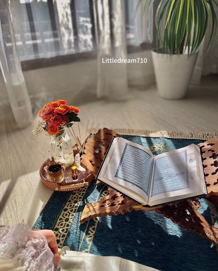 لا تنظر للماضي إلا في حالتين ،
 أخد العبرة..... وكسب الخبرة.🔥🤍