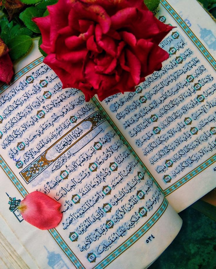 "واللّٰه ما رأينا الخير إلا من اللّٰه، ولا
رأينا الجبر إلا من اللّٰه ، ولا وجدنا
الراحة إلا بالقرب من اللّٰه ، ولا وجدنا
حسن التدبير إلا من اللّٰه ، فلماذا نخاف
ونقلق وأمورنا كلها وحاجاتنا
ومستقبلنا بيده؟! ونحن نعلم أننا لن
نجد ألطف ولا أحن ولا أكرم من اللّٰه على عباده 
فتعالى اللّٰه عما يصفون...🫀🥀